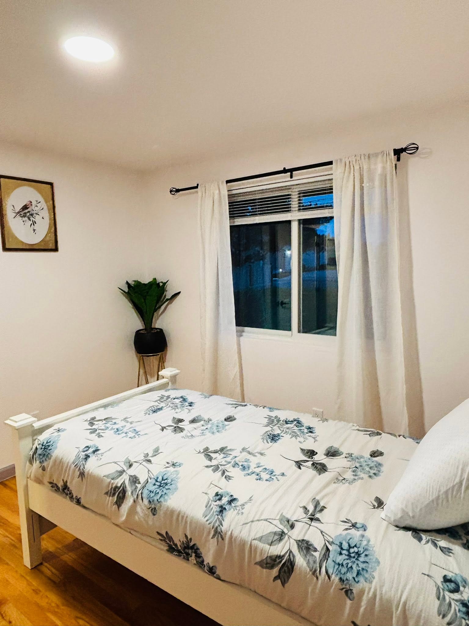 BeeWell Living — private room